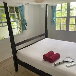https://akunamatata-guest-house-grand-case.comcaribbean.com